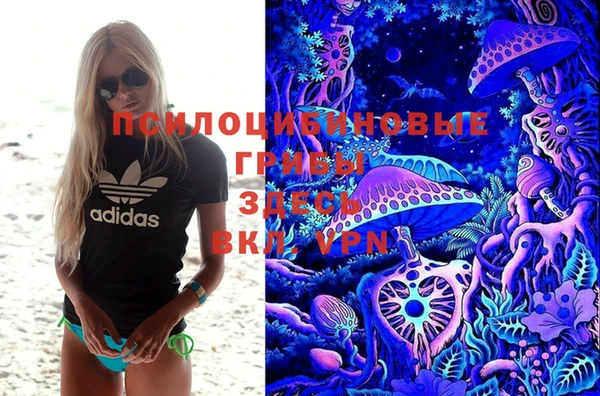 2c-b Баксан